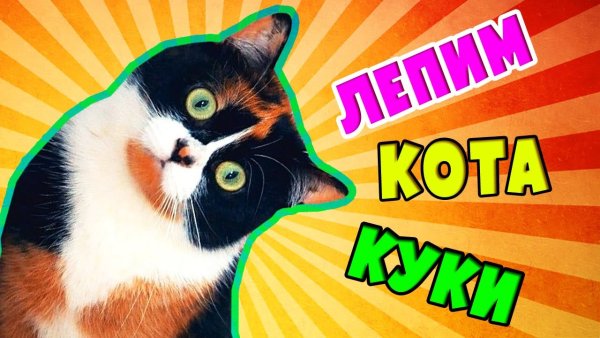 Кот из канала сливки шоу