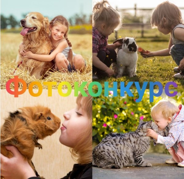 Фотоконкурс Мои любимые питомцы