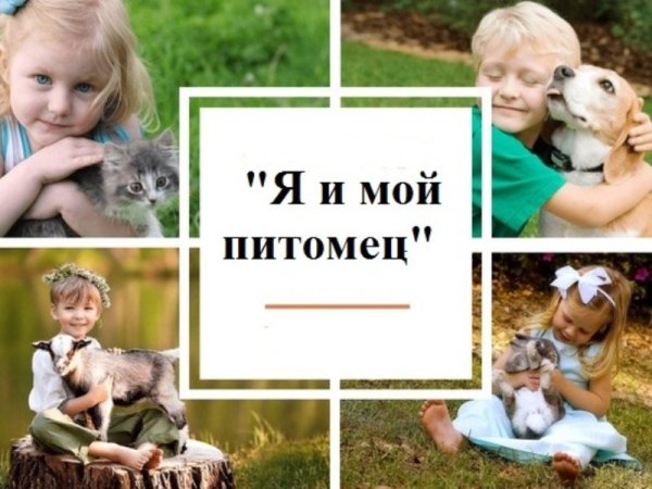 Фотоконкурс домашний питомец