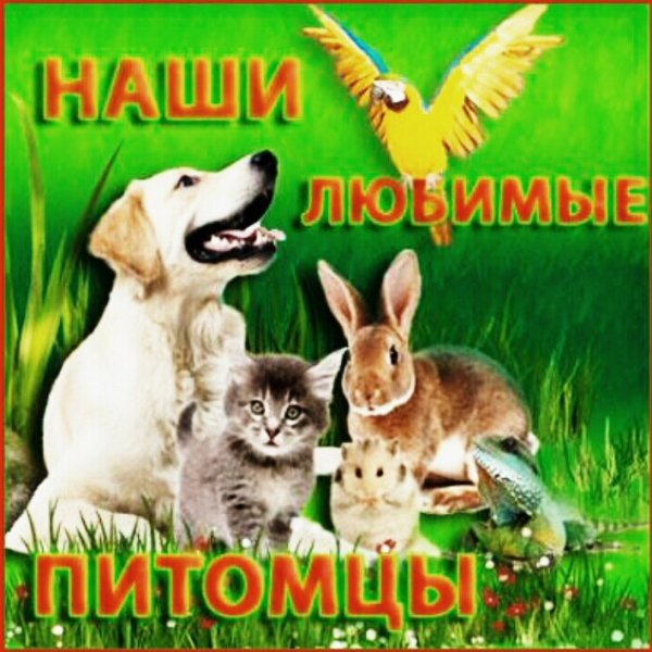 Наши любимые питомцы