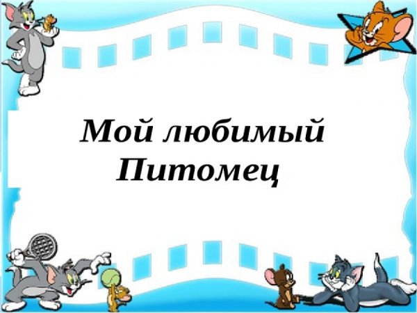 Мой любимый питомец