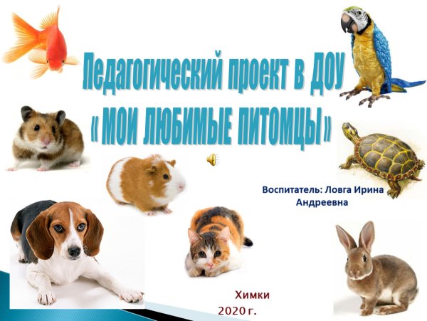 Наши любимые домашние питомцы