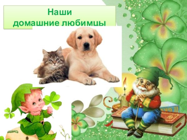 Наши любимые питомцы