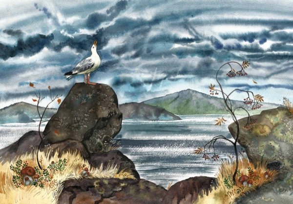 Байкал Чайка необычайка