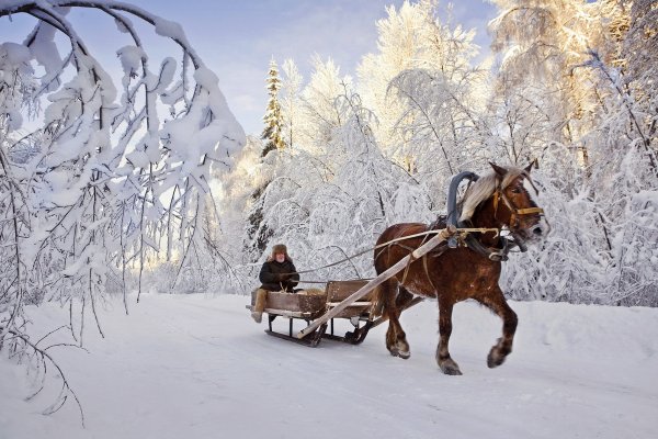 Русская зима