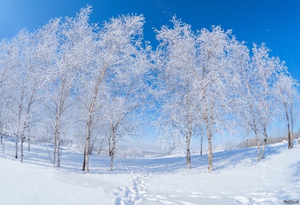 Русская природа зимой