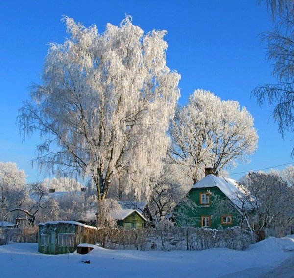 Зима в деревне