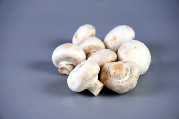 Champignons шампиньоны 3100