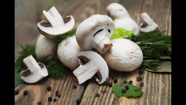 Грибы шампиньоны свежие