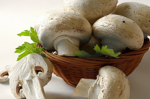 Грибы шампиньоны 1кг Биарицца