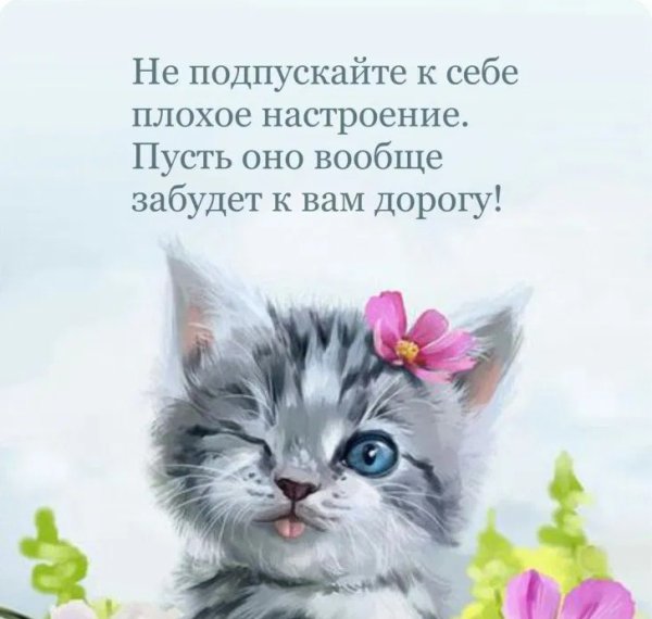 Открытки плохое настроение