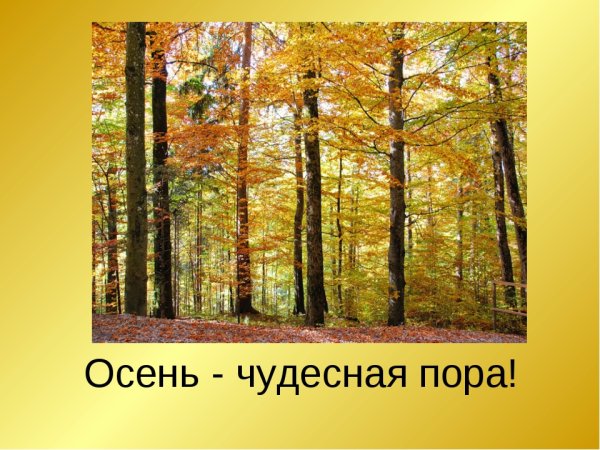 Осень чудесная пора