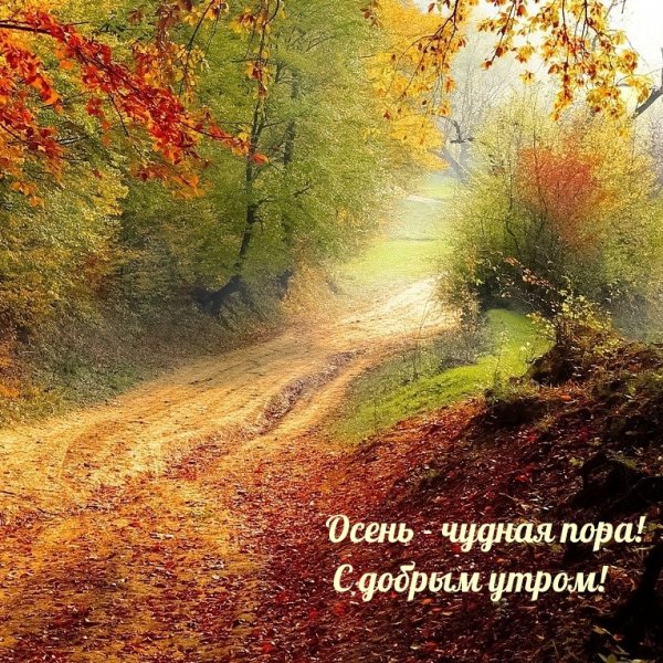Чудная осень