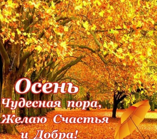 Доброго солнечного осеннего дня