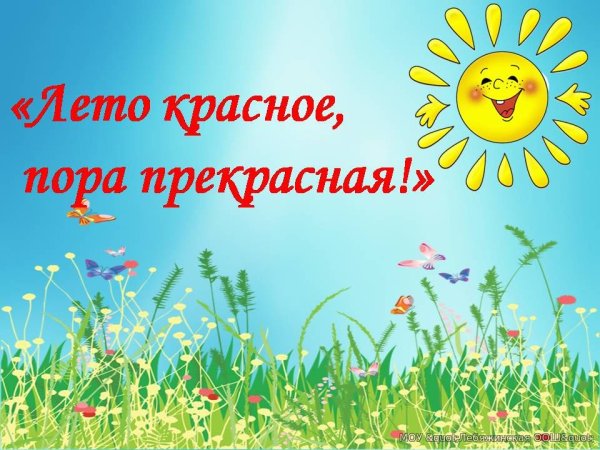 Лето красное пришло
