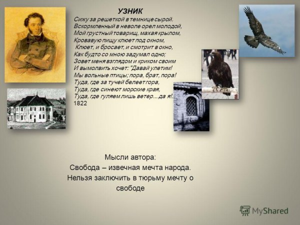 Александра Сергеевича Пушкина узник