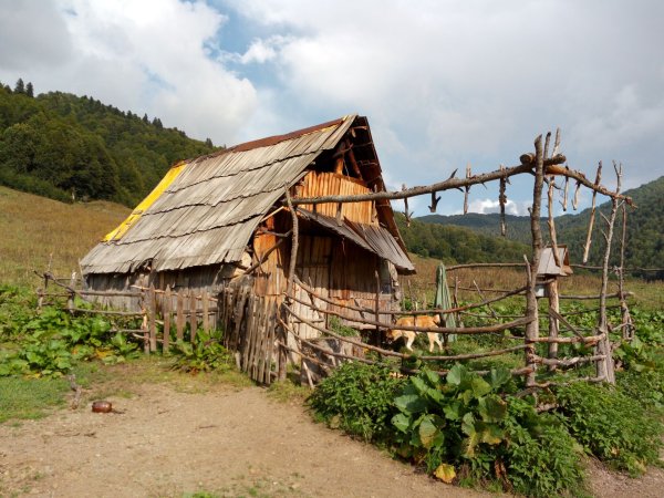 Тисульский Балаган