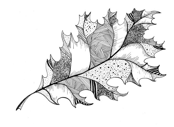 Листья Графика