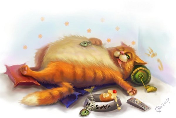 Кот объелся