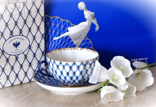 ИФЗ Анны Яцкевич