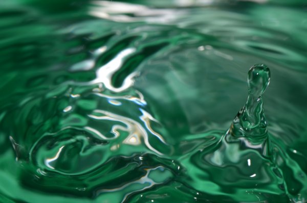 Зеленая вода