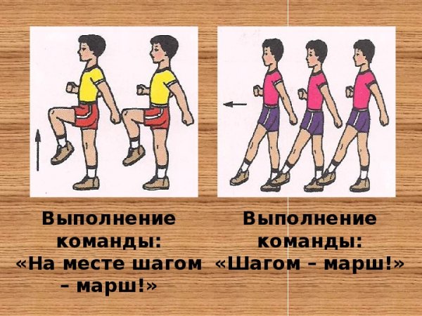 Строевая подготовка что такое движение строевым шагом
