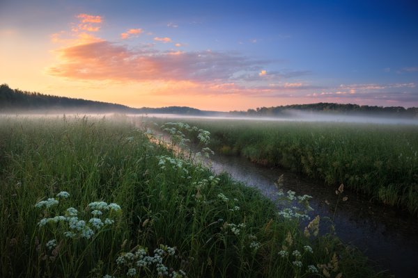 Белорусская природа