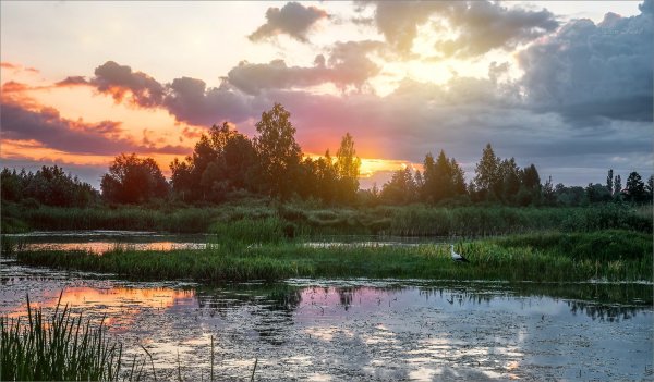 Пинское Полесье