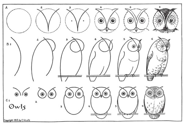 Поэтапное рисование Совы