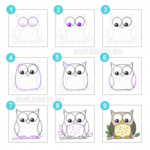 Поэтапное рисование Совы для детей