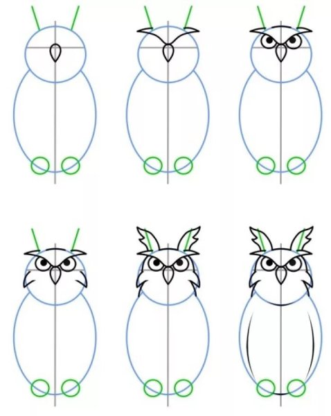 Поэтапное рисование Совы