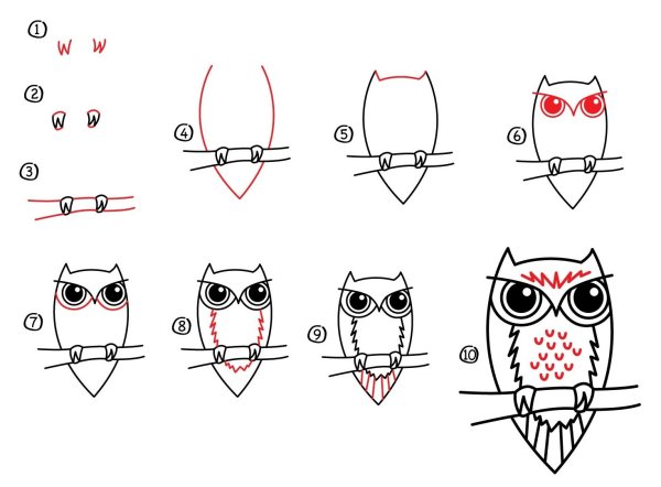 Поэтапное рисование Совы