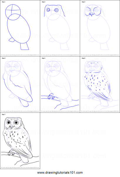Сова рисунок карандашом поэтапно