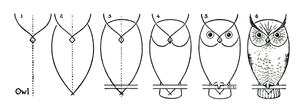 Поэтапное рисование Совы