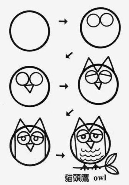 Поэтапное рисование Совы