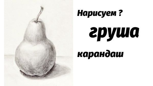Груша с тенями карандашом для начинающих