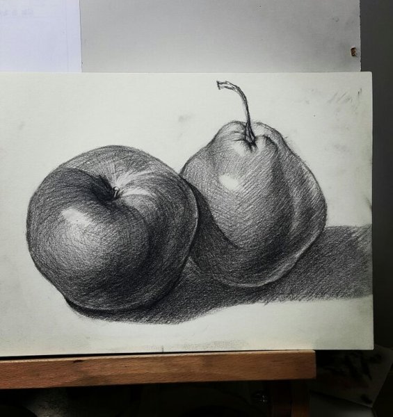 Этюд груши акварелью