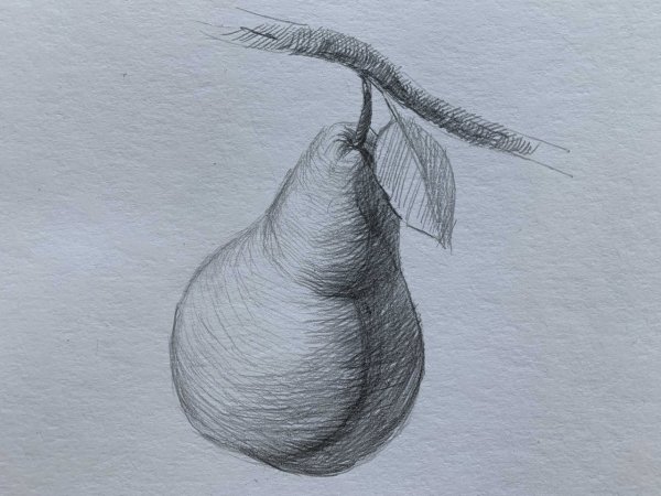 Фрукты для рисования натюрморта