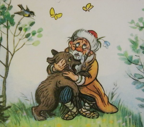 Лесной плакунчик Белозеров