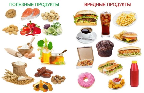 Полезные и вредные продукты