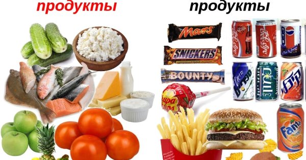 Полезные и вредные продукты