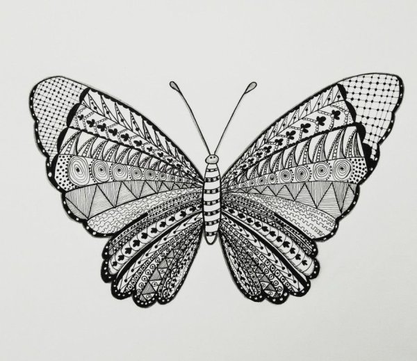 Графический рисунок бабочки