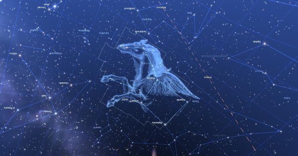 Изображение созвездия Пегаса