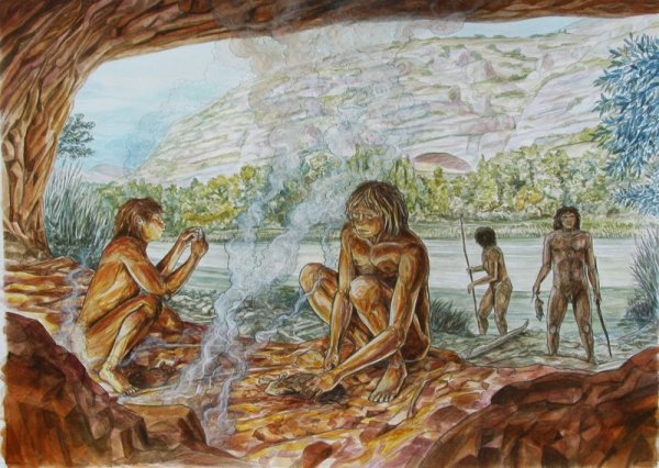 Палеолит homo habilis