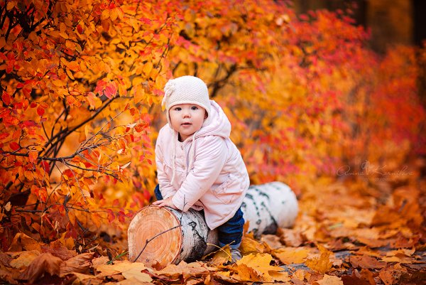 Осенняя фотосессия для детей в садике