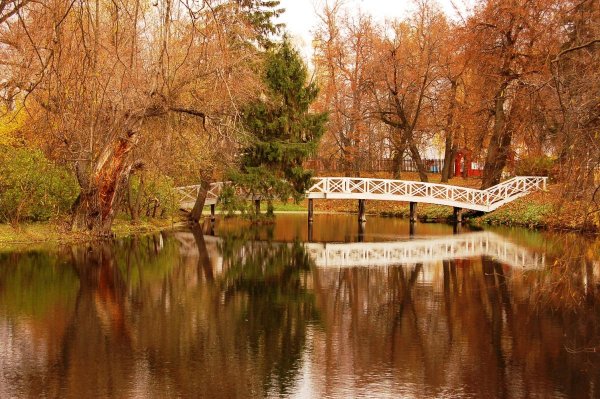 Большое Болдино Нижегородская область осень