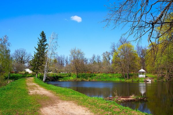 Село большое Болдино Нижегородская область