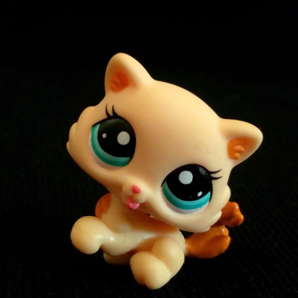 LPS #1608