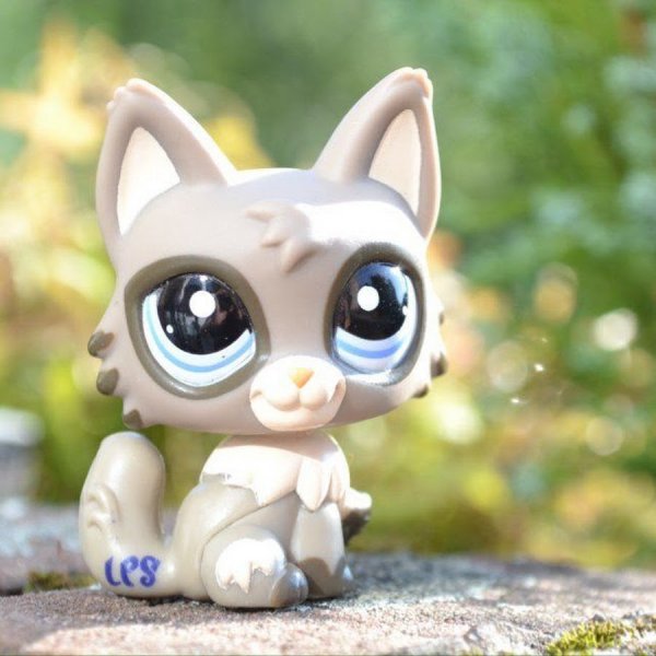 LPS 6250