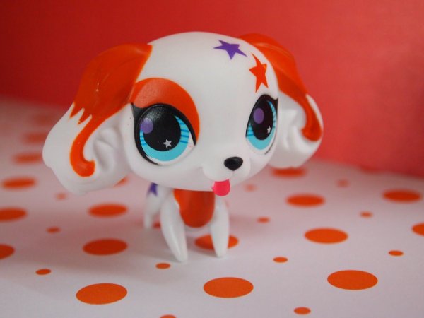 LPS f8x1